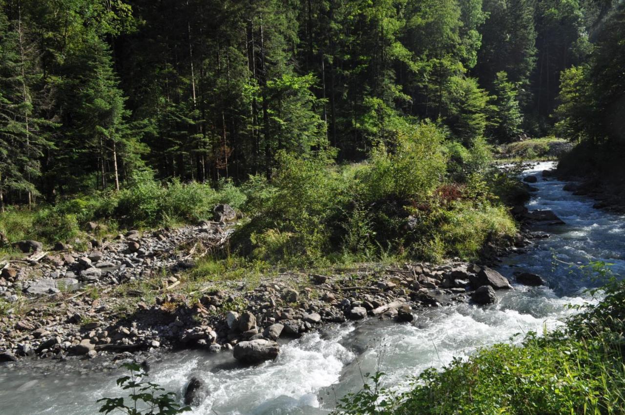 Ferienwohnung Ob Vierwaldsaettersee Isenthal ภายนอก รูปภาพ